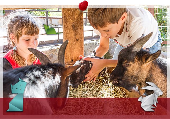 Photo of kids handling animals at a petting zoo