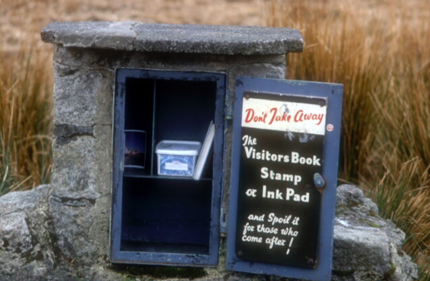 Letterbox in forrest
