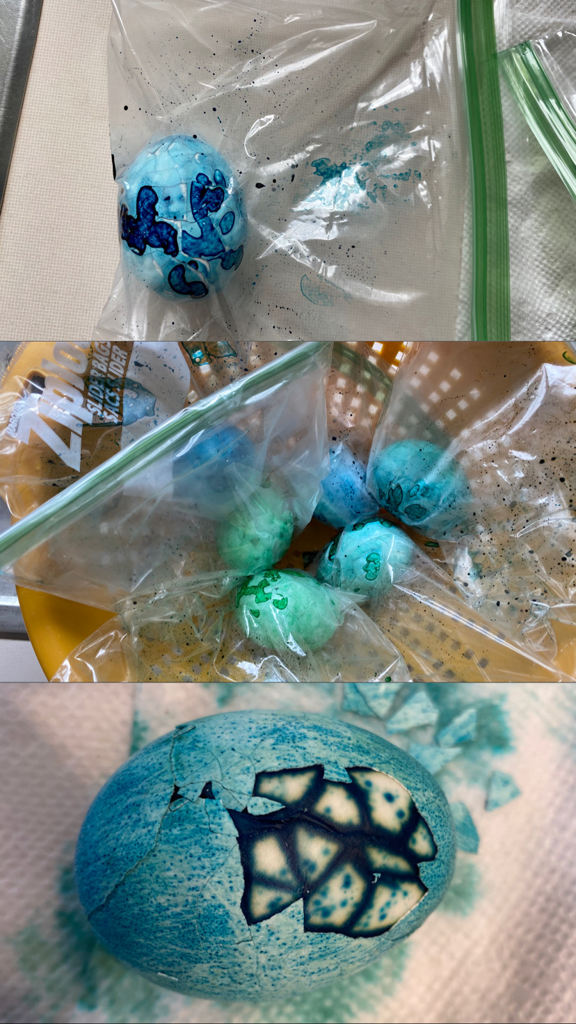eggs in bags with food coloring dyed eggs partially peeled